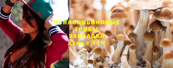 тгк Вяземский