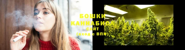 тгк Вяземский