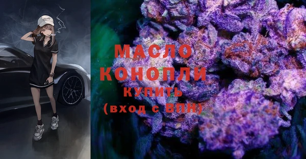 тгк Вяземский
