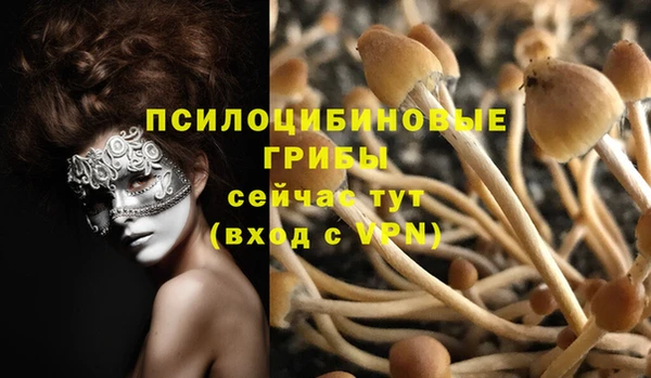 тгк Вяземский