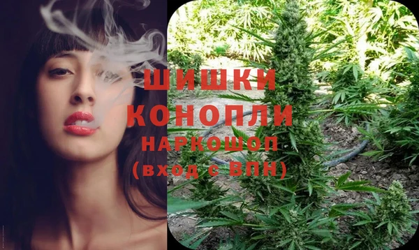 тгк Вяземский