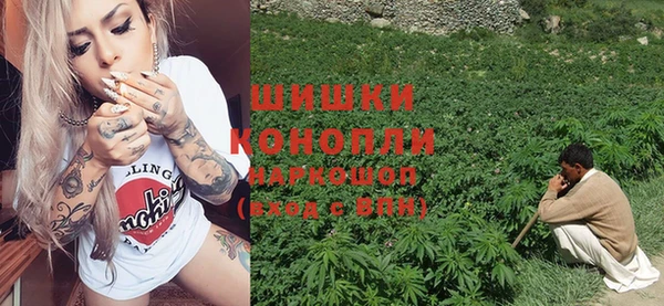 тгк Вяземский