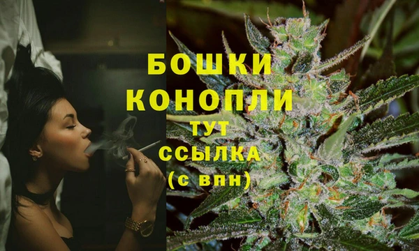 стаф Волоколамск