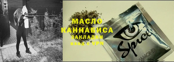 тгк Вяземский